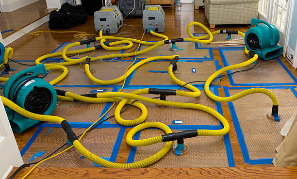 Professional Sewage Cleanup technician working in Livingston, TX